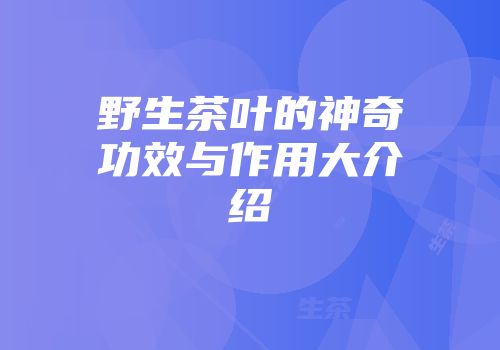 野生茶叶的神奇功效与作用大介绍