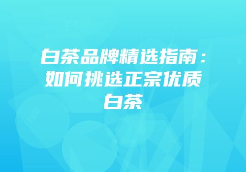 白茶品牌精选指南：如何挑选正宗优质白茶