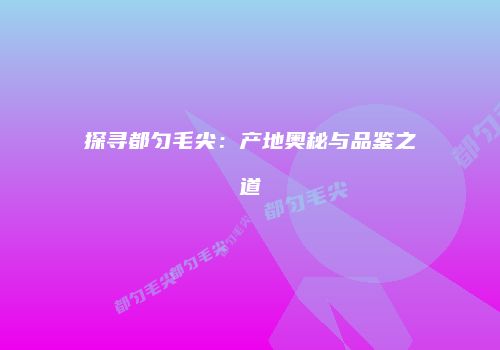 探寻都匀毛尖：产地奥秘与品鉴之道