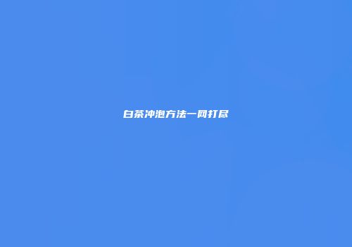 白茶冲泡方法一网打尽