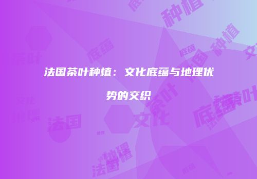 法国茶叶种植：文化底蕴与地理优势的交织