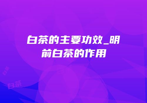 白茶的主要功效_明前白茶的作用