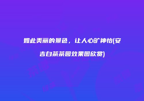 如此美丽的景色，让人心旷神怡(安吉白茶茶园效果图欣赏)