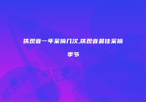 铁观音一年采摘几次,铁观音最佳采摘季节