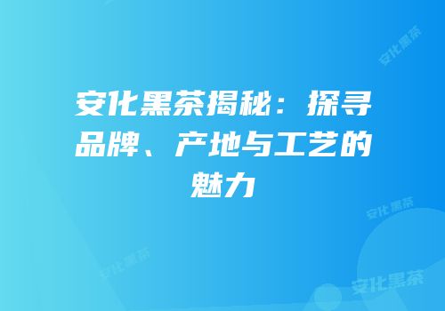 安化黑茶揭秘：探寻品牌、产地与工艺的魅力
