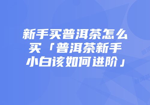 新手买普洱茶怎么买「普洱茶新手小白该如何进阶」