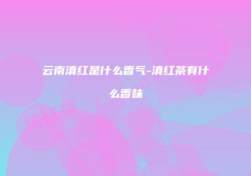 云南滇红是什么香气-滇红茶有什么香味