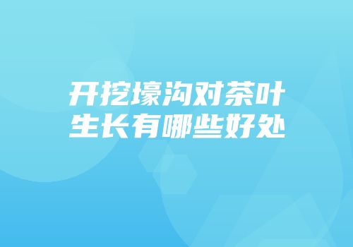 开挖壕沟对茶叶生长有哪些好处
