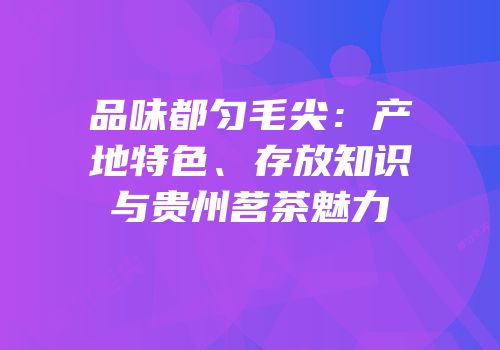 品味都匀毛尖：产地特色、存放知识与贵州茗茶魅力