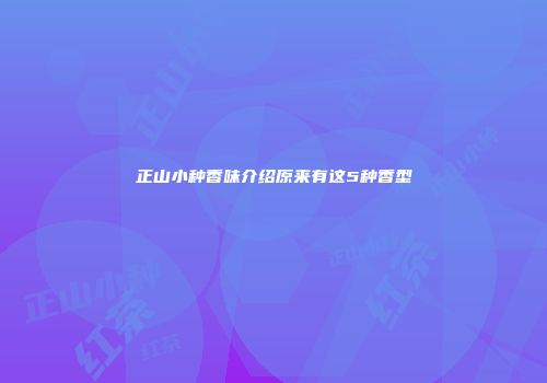 正山小种香味介绍原来有这5种香型