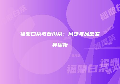 福鼎白茶与普洱茶：风味与品鉴差异探析