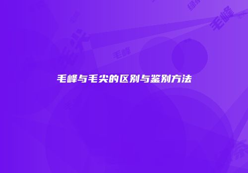 毛峰与毛尖的区别与鉴别方法
