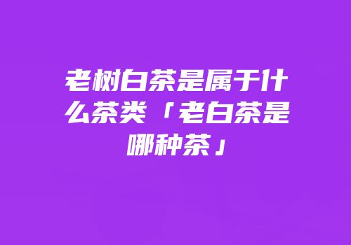 老树白茶是属于什么茶类「老白茶是哪种茶」