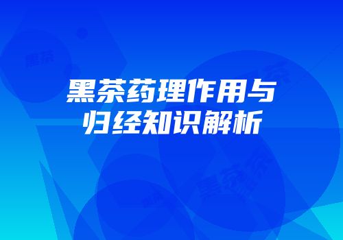 黑茶药理作用与归经知识解析