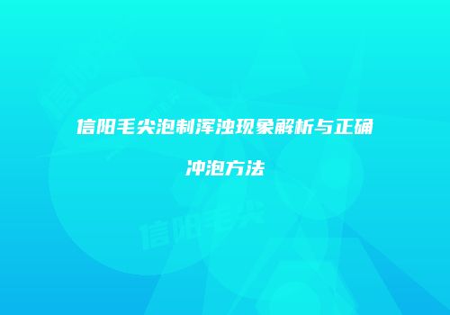 信阳毛尖泡制浑浊现象解析与正确冲泡方法
