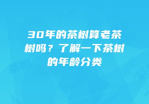 30年的茶树算老茶树吗？了解一下茶树的年龄分类