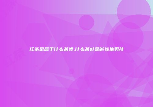 红茶是属于什么茶类,什么茶叶是碱性生男孩