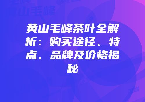 黄山毛峰茶叶全解析：购买途径、特点、品牌及价格揭秘