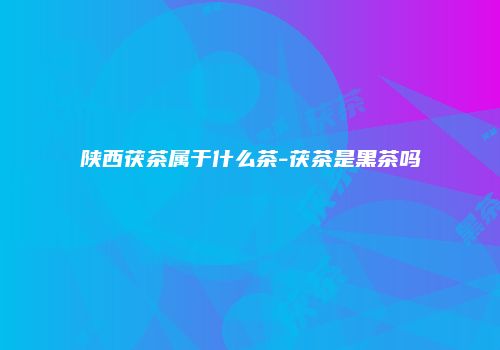 陕西茯茶属于什么茶-茯茶是黑茶吗