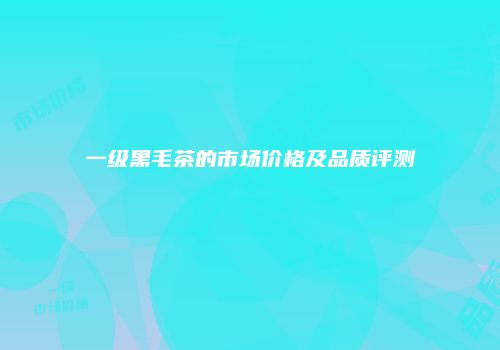 一级黑毛茶的市场价格及品质评测