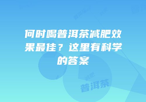 何时喝普洱茶减肥效果最佳？这里有科学的答案