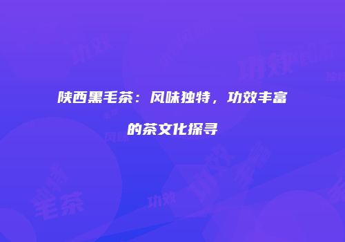 陕西黑毛茶：风味独特，功效丰富的茶文化探寻