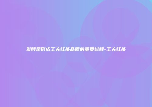 发酵是形成工夫红茶品质的重要过程-工夫红茶