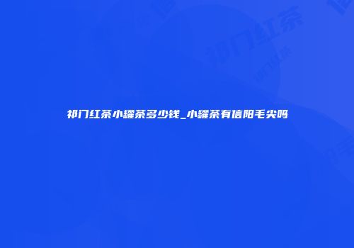 祁门红茶小罐茶多少钱_小罐茶有信阳毛尖吗