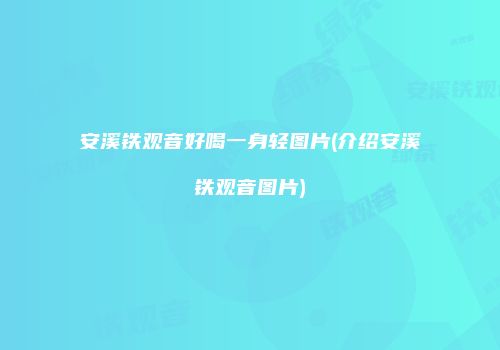 安溪铁观音好喝一身轻图片(介绍安溪铁观音图片)