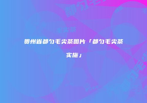 贵州省都匀毛尖茶图片「都匀毛尖茶实施」