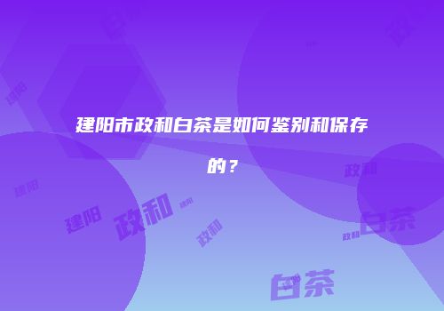 建阳市政和白茶是如何鉴别和保存的？