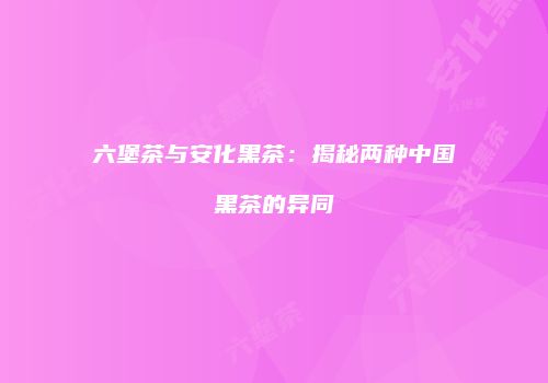 六堡茶与安化黑茶：揭秘两种中国黑茶的异同