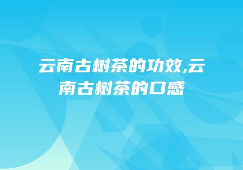 云南古树茶的功效,云南古树茶的口感