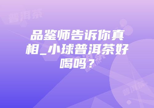 品鉴师告诉你真相_小球普洱茶好喝吗？