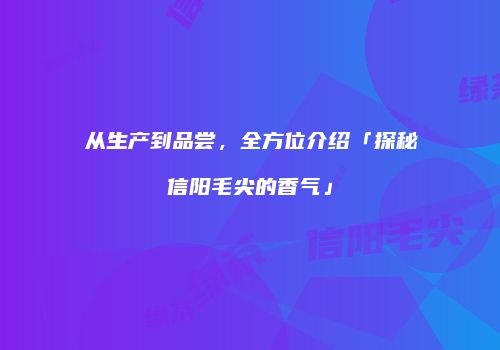 从生产到品尝，全方位介绍「探秘信阳毛尖的香气」