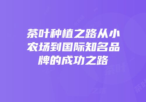 茶叶种植之路从小农场到国际知名品牌的成功之路