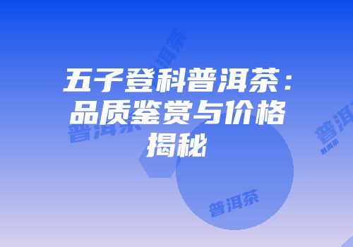 五子登科普洱茶：品质鉴赏与价格揭秘