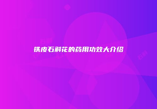 铁皮石斛花的药用功效大介绍