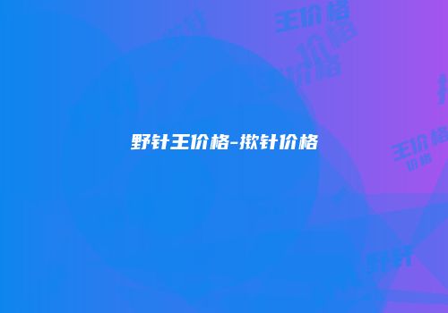 野针王价格-揿针价格