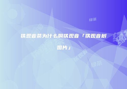 铁观音茶为什么叫铁观音「铁观音树图片」