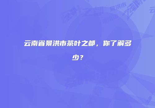 云南省景洪市茶叶之都，你了解多少？