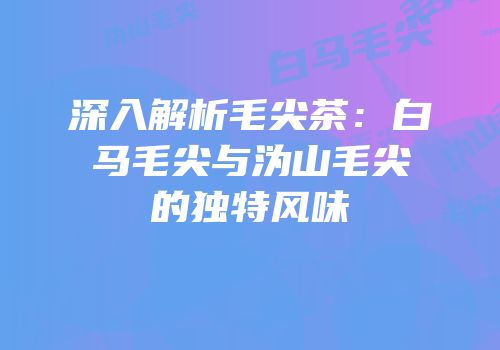 深入解析毛尖茶：白马毛尖与沩山毛尖的独特风味
