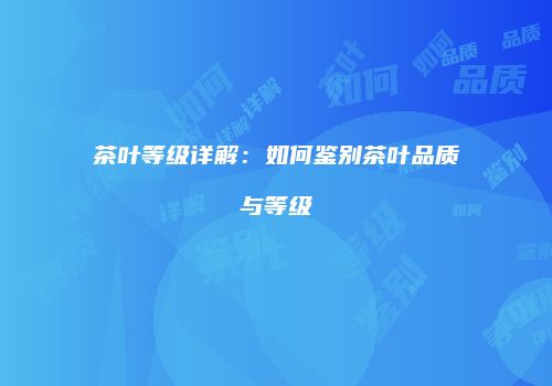 茶叶等级详解：如何鉴别茶叶品质与等级