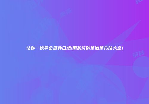 让你一次学会多种口感(黑茶茯砖茶泡茶方法大全)