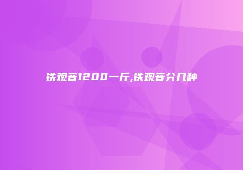 铁观音1200一斤,铁观音分几种
