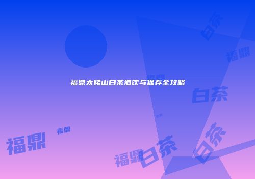 福鼎太姥山白茶泡饮与保存全攻略