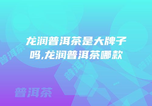 龙润普洱茶是大牌子吗,龙润普洱茶哪款