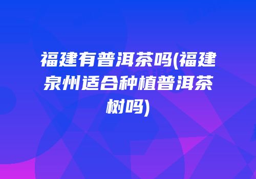 福建有普洱茶吗(福建泉州适合种植普洱茶树吗)