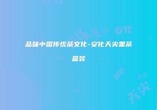 品味中国传统茶文化-安化天尖黑茶盒装