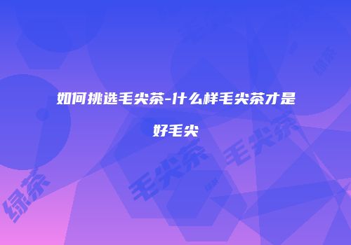 如何挑选毛尖茶-什么样毛尖茶才是好毛尖